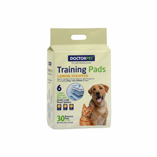 TRAINING PADS 60x60cm 45g with Regular Lemon