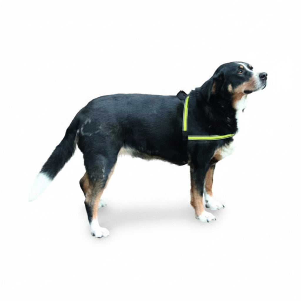 Kerbl Light & Reflex Dog Harness 70-85cm