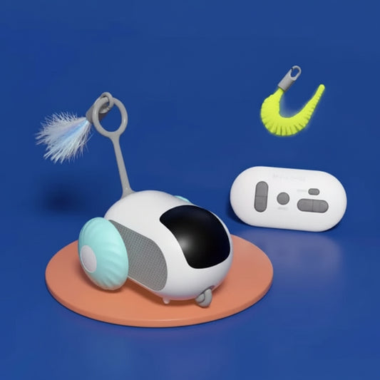 Petco Smart Interactive Car Toy