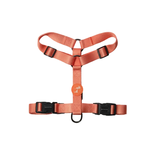 HUFT Classic Dog H Harness - Orange
