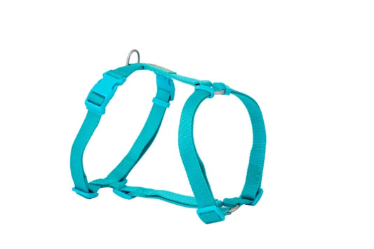 Basic Nylon Harness TURQUOISE 20mm x 51/70cm