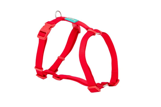 Basic Nylon Harness RED 25mm x 70/90cm