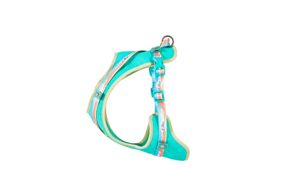 Peak Harness SIERRA 25mm x Neck 46-73cm Chest 71-92cm