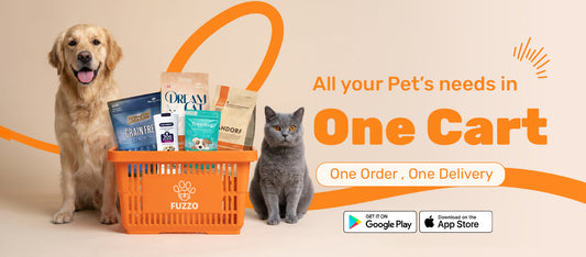 The Ultimate Guide to Pet Care in Kuwait: Grooming, Supplies & Mobile Services