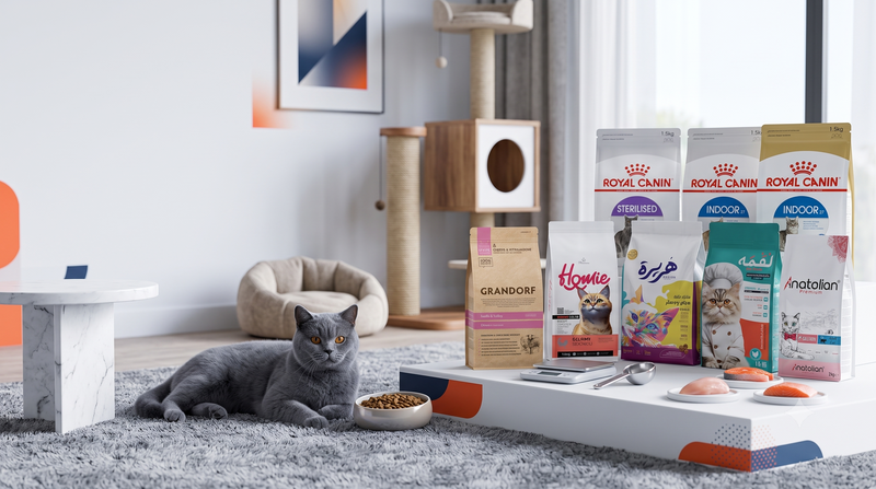 Sterilized & Indoor Cat Weight Management in Kuwait: The Ultimate Kibble Guide