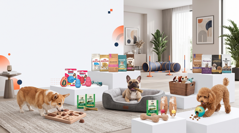 Interactive Dog Toys, Chews, and Exercise Gear for Indoor Living in Kuwait