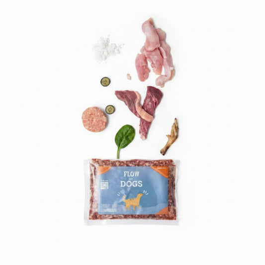 Fido For Dogs 100g (Beef and Chicken)