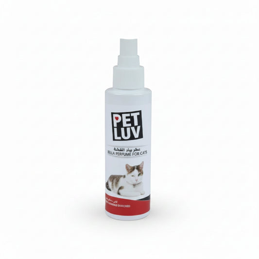 Cats Perfume Bella 100 ml
