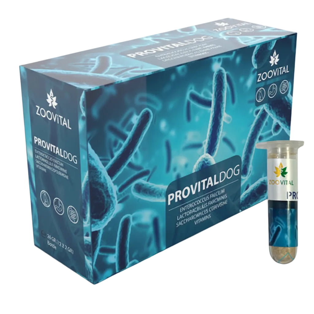 ZOOVITAL PROVITAL DOG 24GR (12×2GR) BOTLE