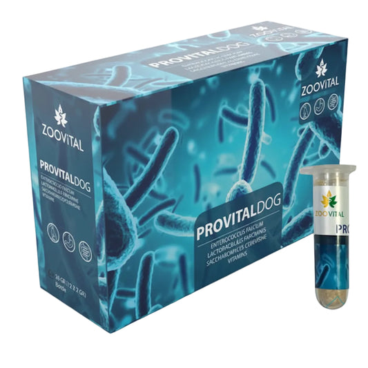 ZOOVITAL PROVITAL DOG 24GR (12×2GR) BOTLE