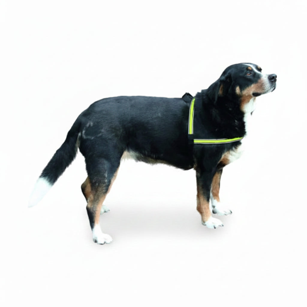 Kerbl Light & Reflex Dog Harness 60-75cm