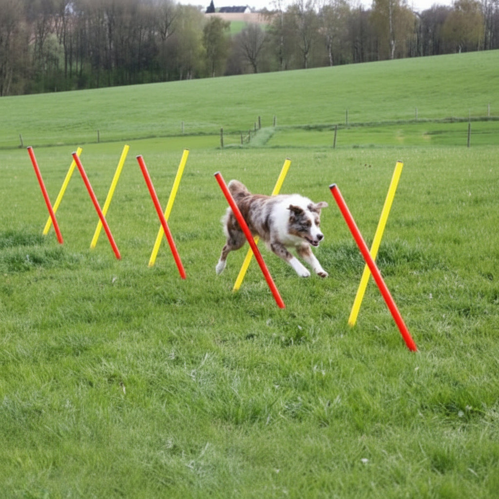 kerbl complete set agility