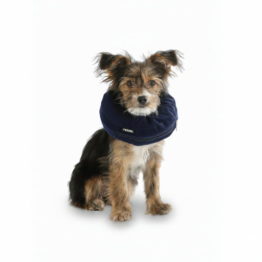 Surgical Collar (neck circumference 18-30cm)