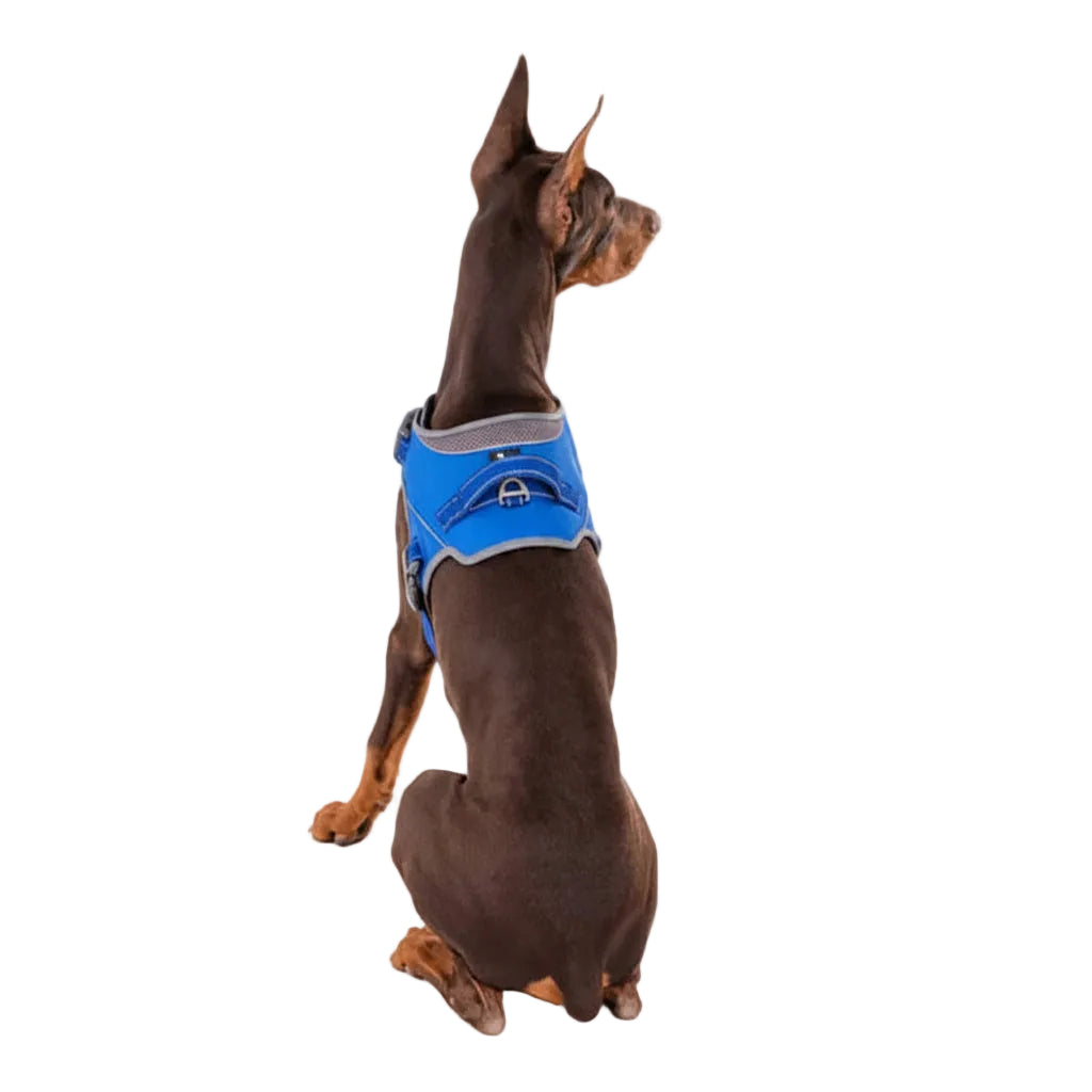 HUFT Easy On Dog Harness - Blue