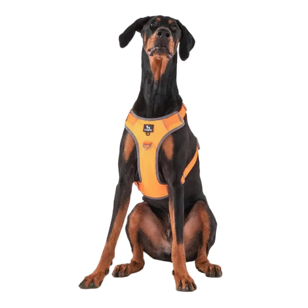 HUFT Active Pet Dog Harness - Orange