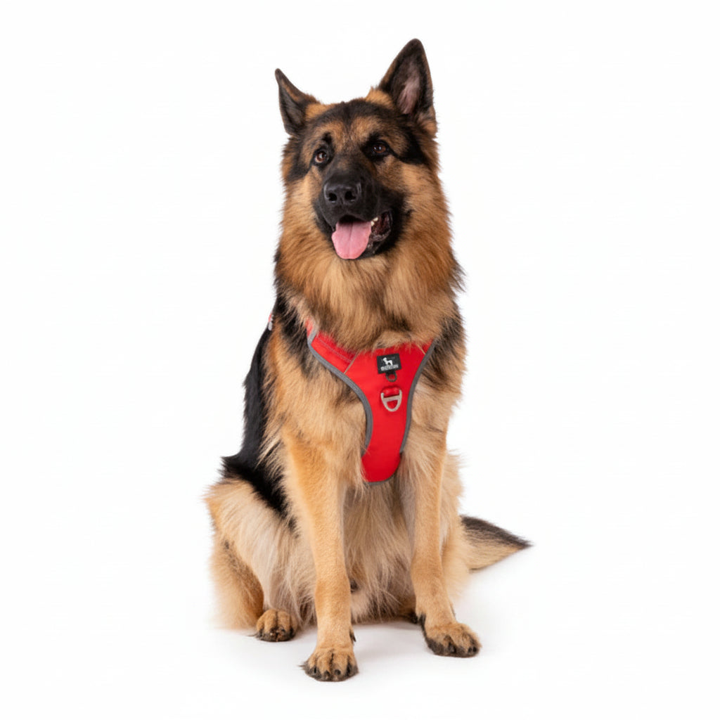 HUFT Active Pet Dog Harness - Red