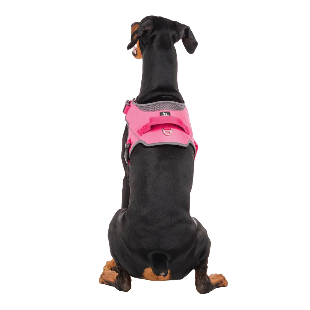 HUFT Easy On Dog Harness - Pink