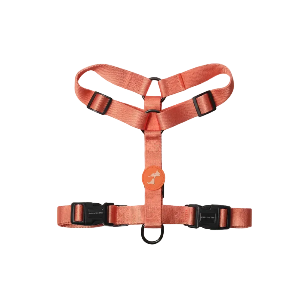 HUFT Classic Dog H Harness - Orange