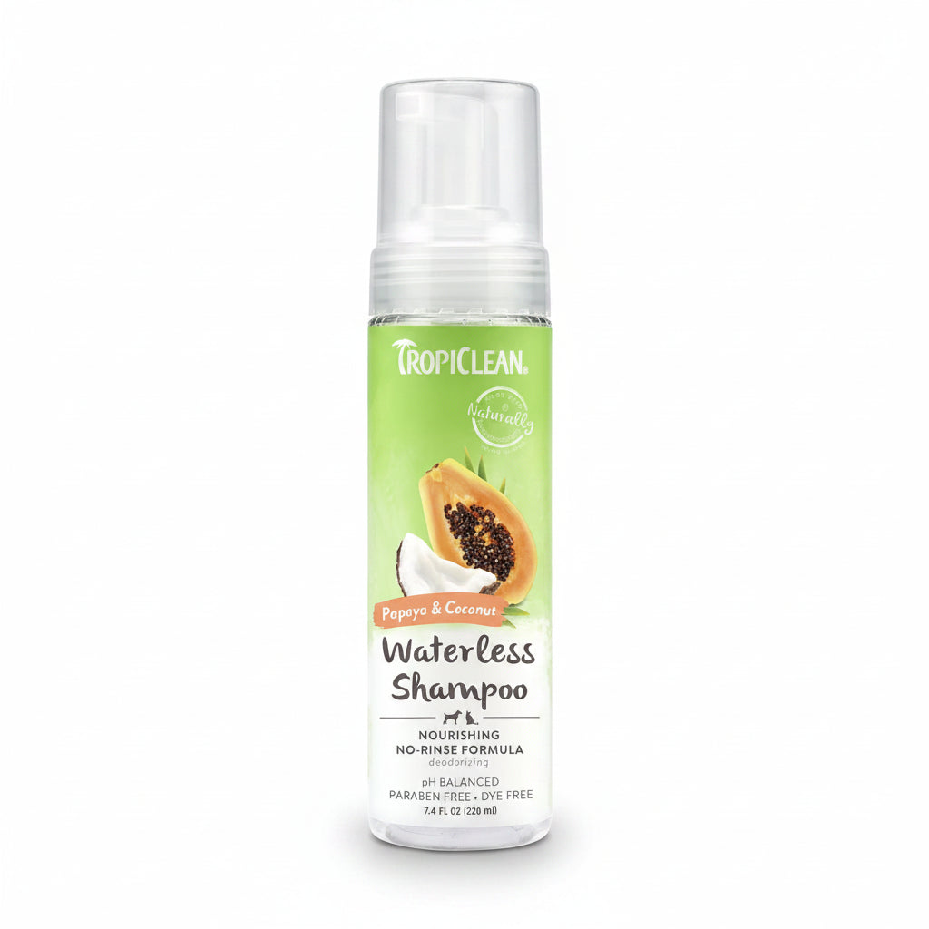 Papaya and Coconut Foaming Waterless Shampoo