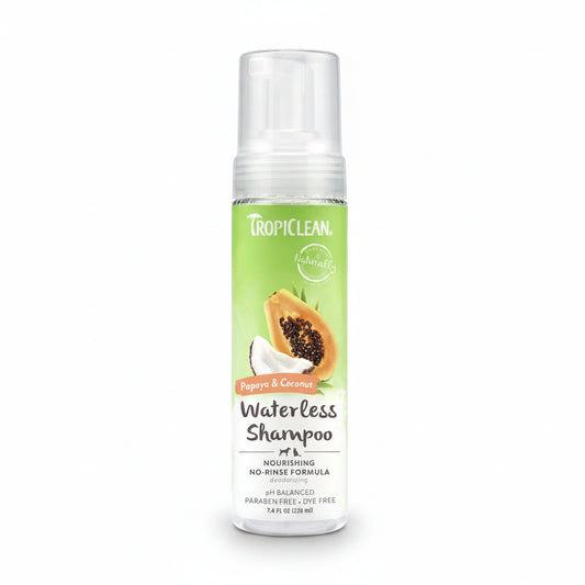 Papaya and Coconut Foaming Waterless Shampoo