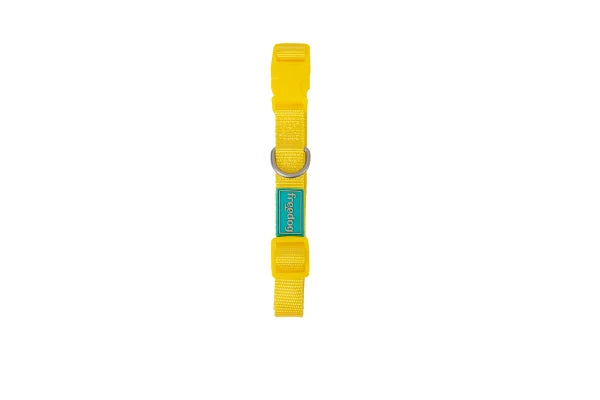 Basic Nylon Collar YELLOW 25mm x 38/66cm
