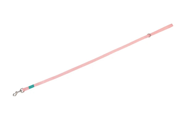 Basic Nylon Leash PINK 20mm x 120cm