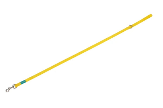 Basic Nylon Leash YELLOW 20mm x 120cm