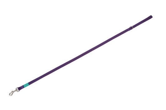 Basic Nylon Leash LILAC 20mm x 120cm