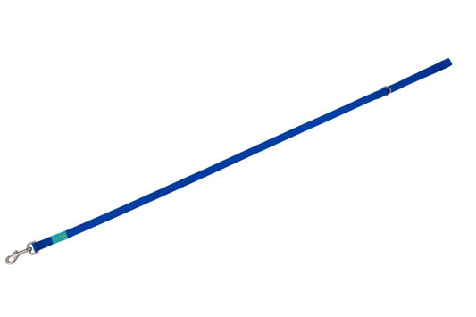 Basic Nylon Leash BLUE 25mm x 120cm