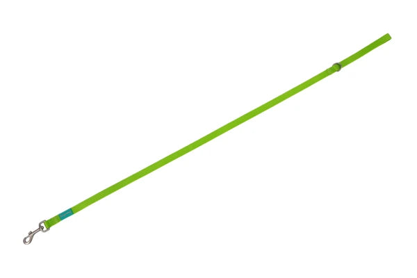 Basic Nylon Leash LIME 10mm x 120cm