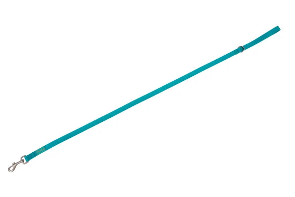 Basic Nylon Leash TURQUOISE 25mm x 120cm