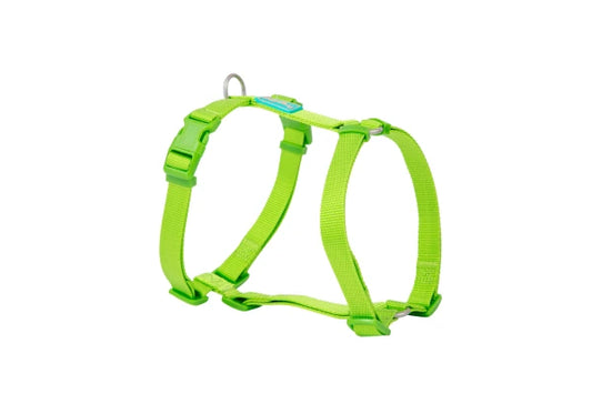 Basic Nylon Harness LIME 10mm x 20/36cm