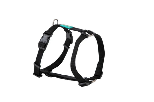 Basic Nylon Harness BLACK 20mm x 51/70cm