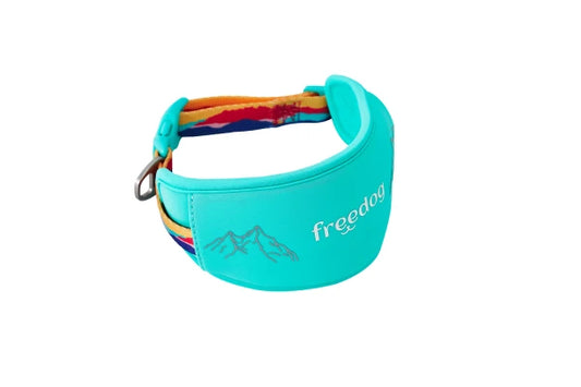 Peak Collar MONTSE 25mm x 53-63cm