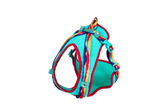 Peak Harness MONTSE 15mm x Neck 32-50cm Chest 54-66cm