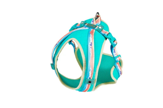 Peak Harness PEDRA 15mm x Neck 32-50cm Chest 54-66cm
