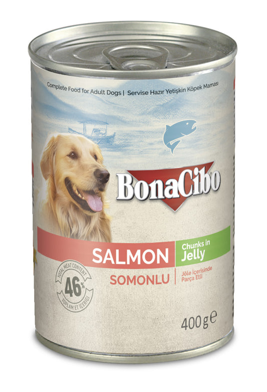 BonaCibo Salmon Chunks In Jelly 12pc x 400g